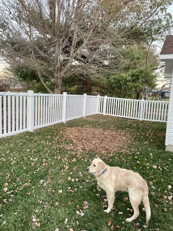 Fence installed by KW Fence Company